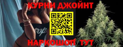 гашик Ливны