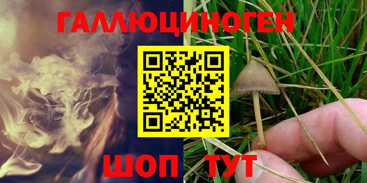 Ирбит  Галлюциногенные грибы GOLDEN TEACHER  Вход с VPN  даркнет сайт  Псилоцибиновые грибы прущие грибы 